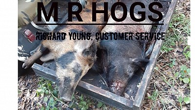 Feral hog elimination, reloading components and equipment, and lead alloy bullets to get it done.